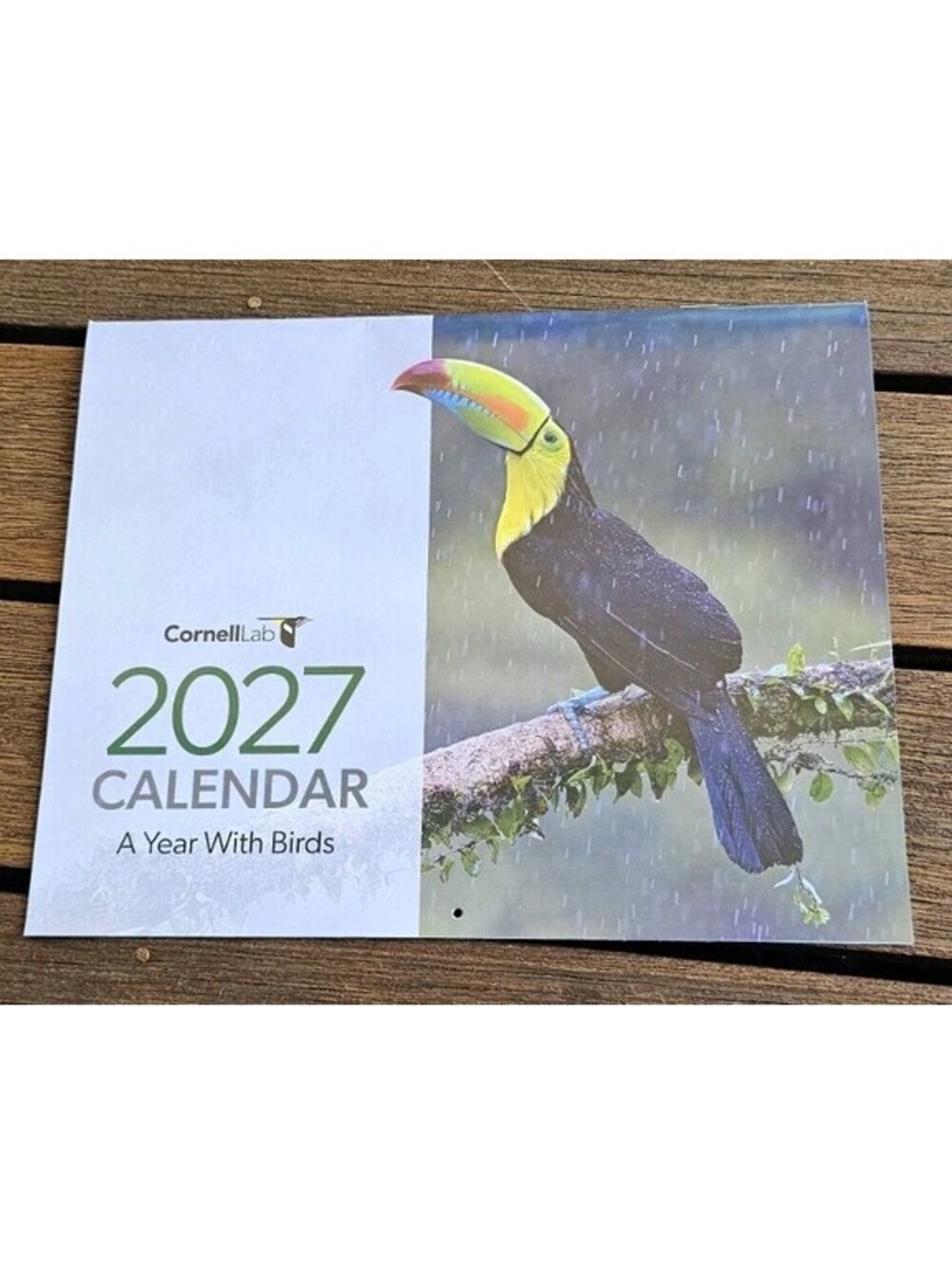 2027 CORNELL LAB OF ORNITHOLOGY WALL CALENDAR~A Year With Birds!-Beautiful Pics!